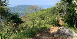 Enduro Coati